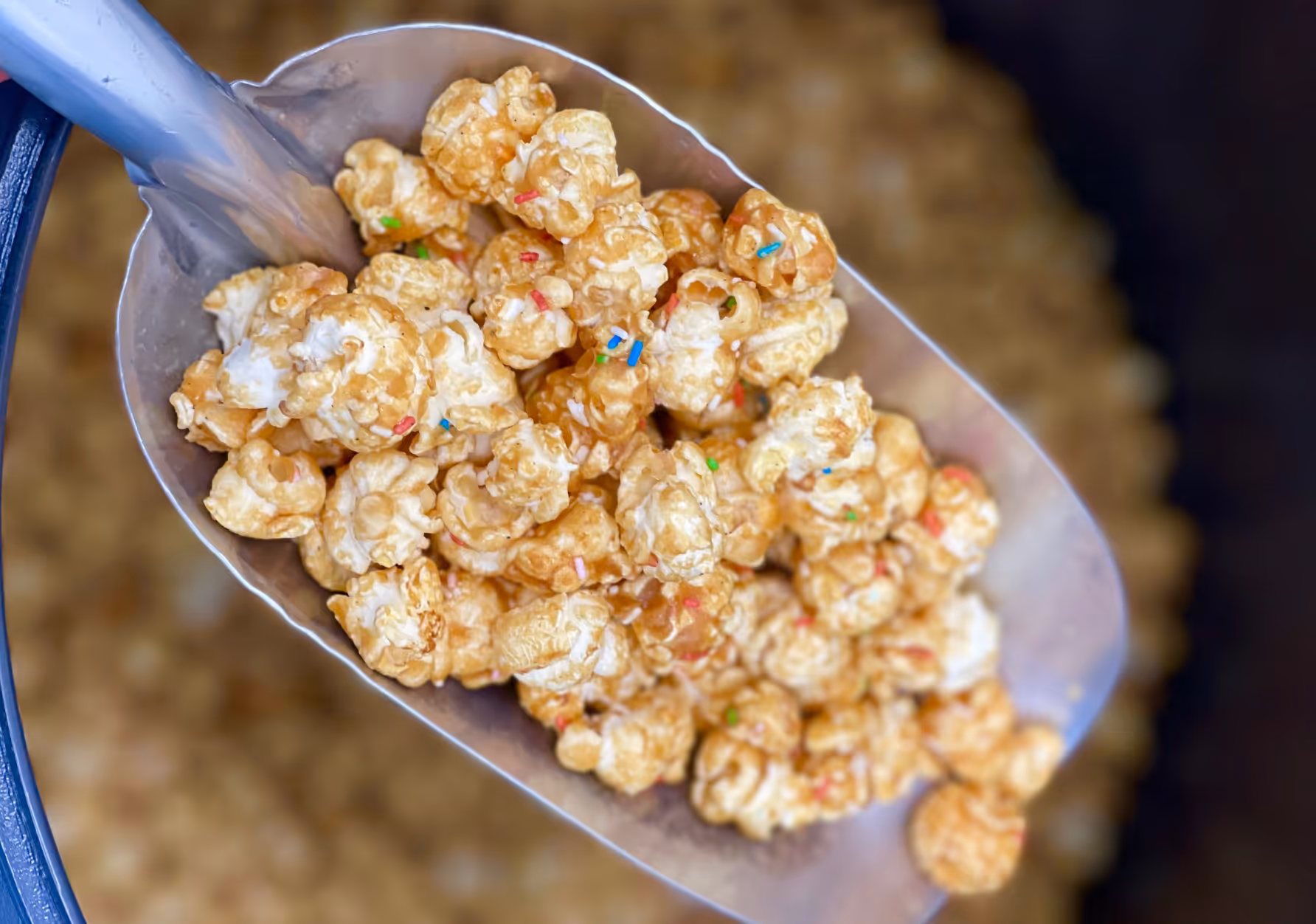 Everly Grace – Popcornkunst aus Augsburg