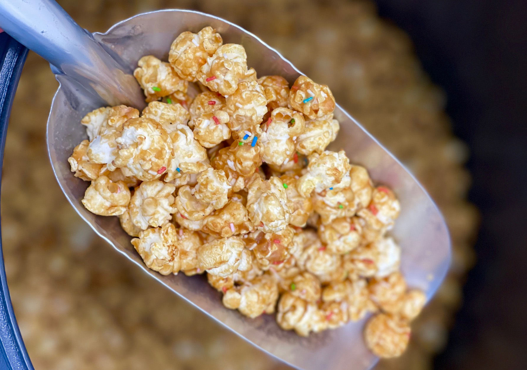 Everly Grace – Popcornkunst aus Augsburg