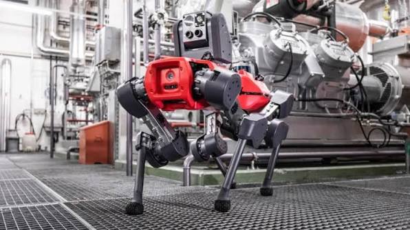 ANYmal C quadruped fleet