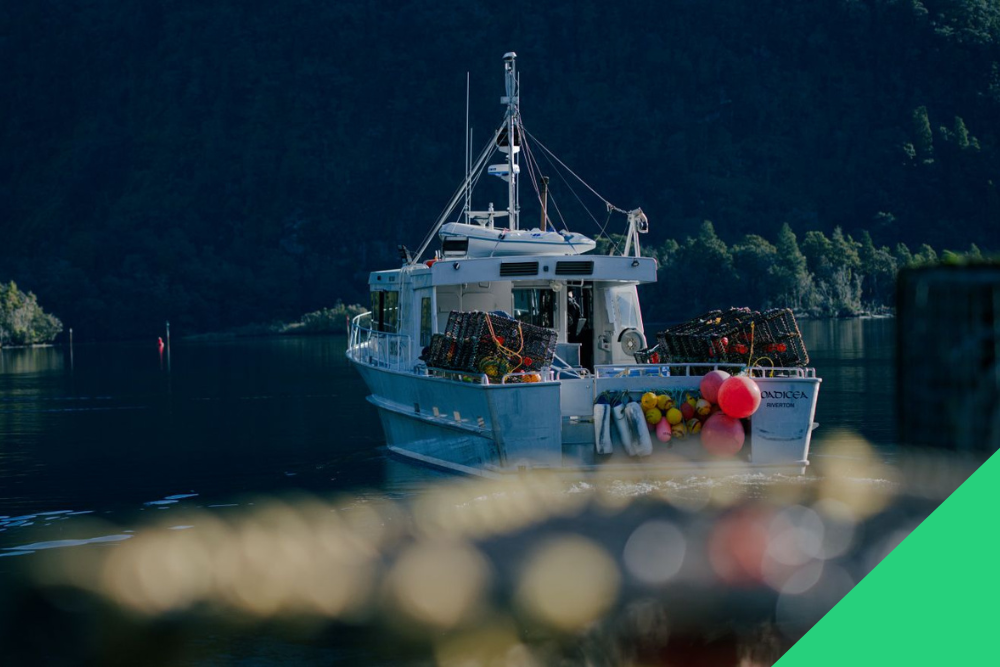 Fiordland Lobster Company makes sure every supplier gets a green tick