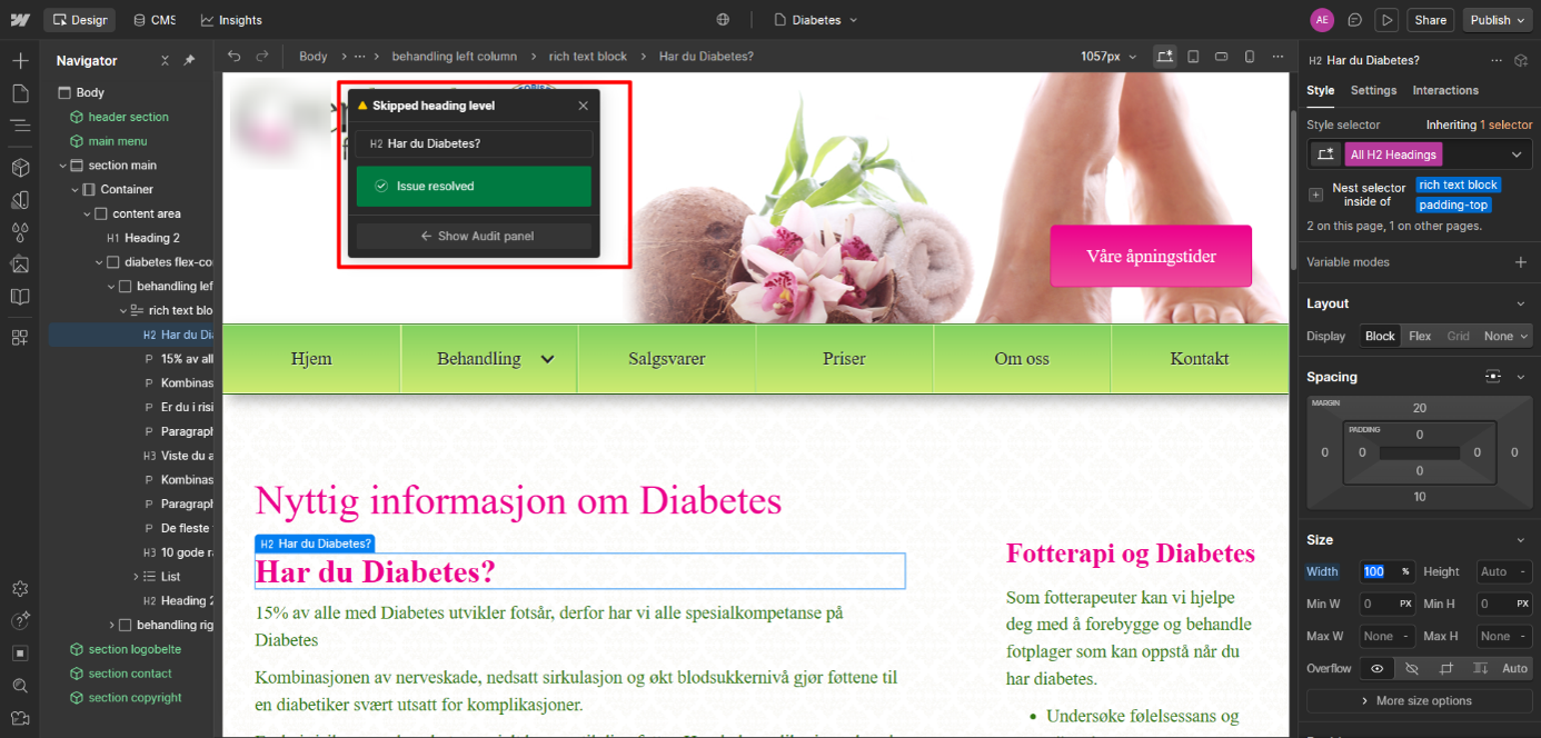 Webflow popup som viser at du har klar å utbedre feilen fra audit panelet.
