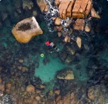 Activity Image