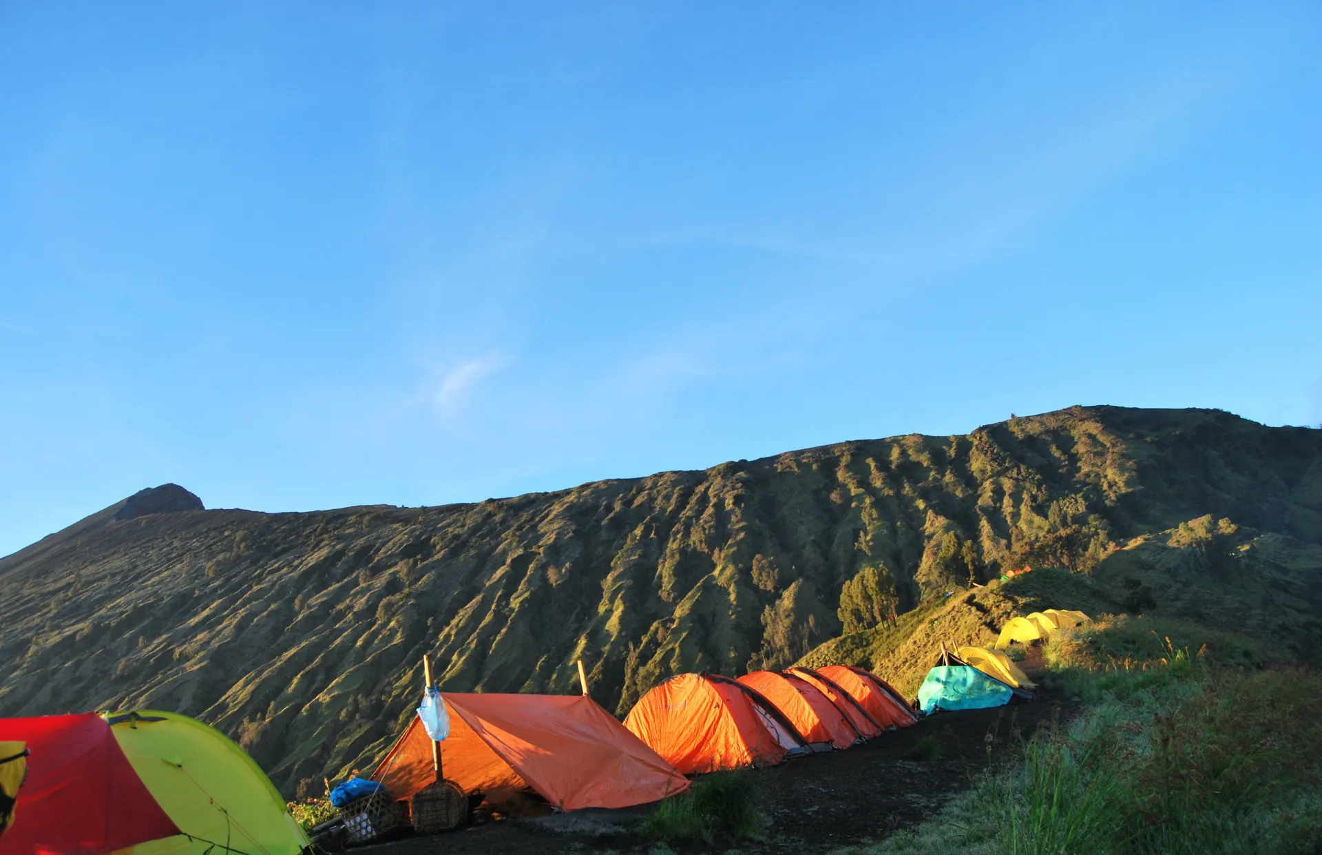 Activity Image