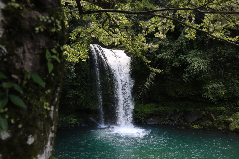 Activity Image