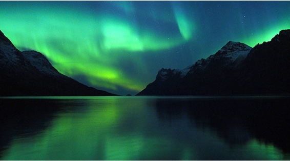Northern lights over an Arctic fjord