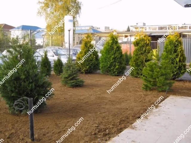 humusbg.com