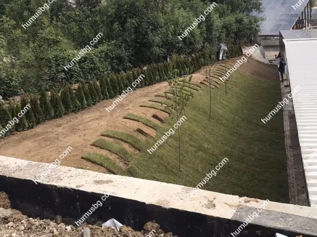humusbg.com