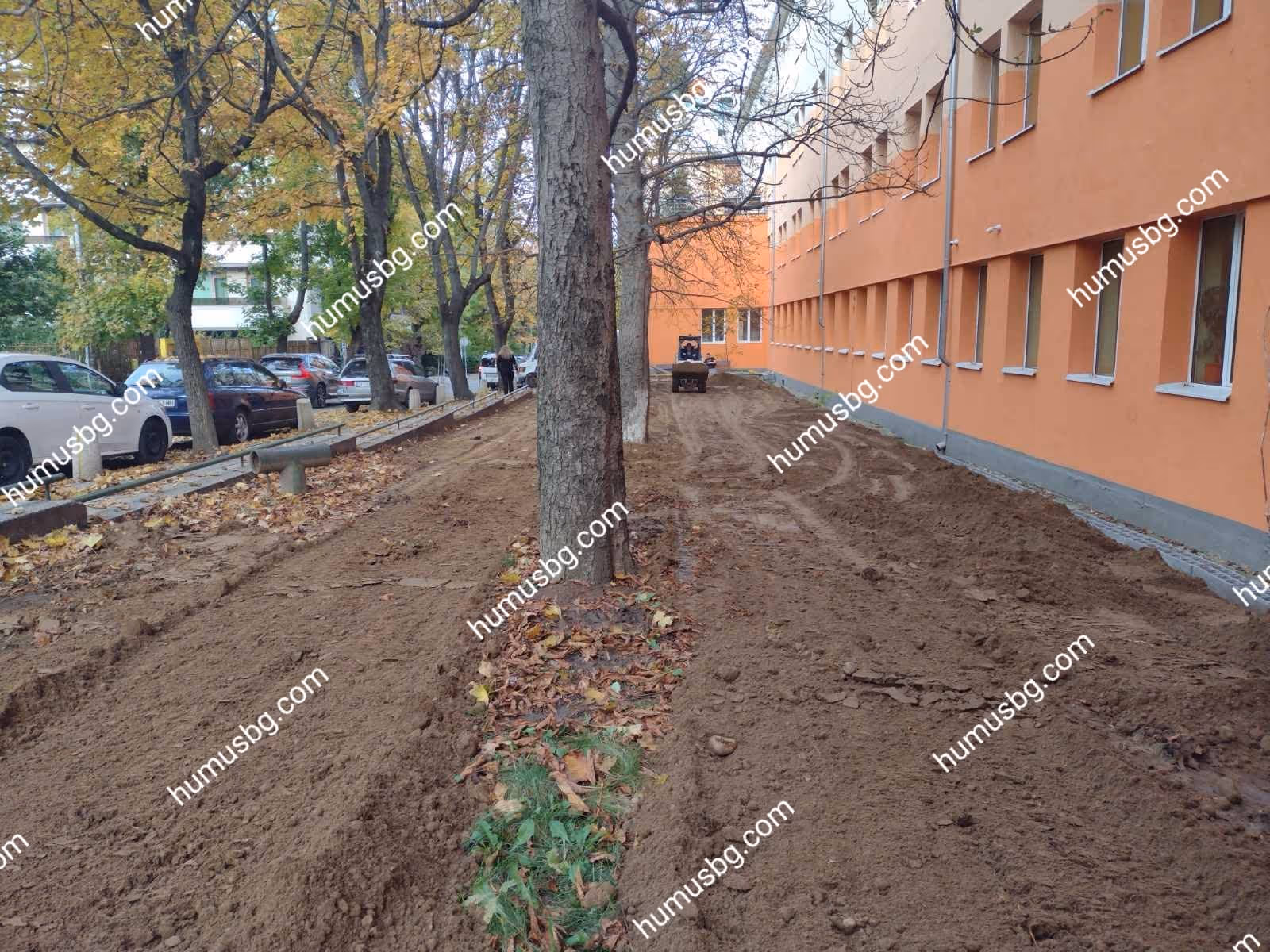 humusbg.com