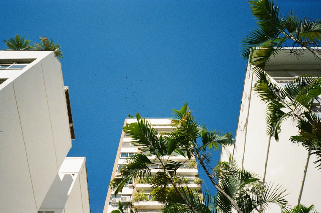 Palm Beach Perfection: Residential Vent Cleaning for a Pristine Home