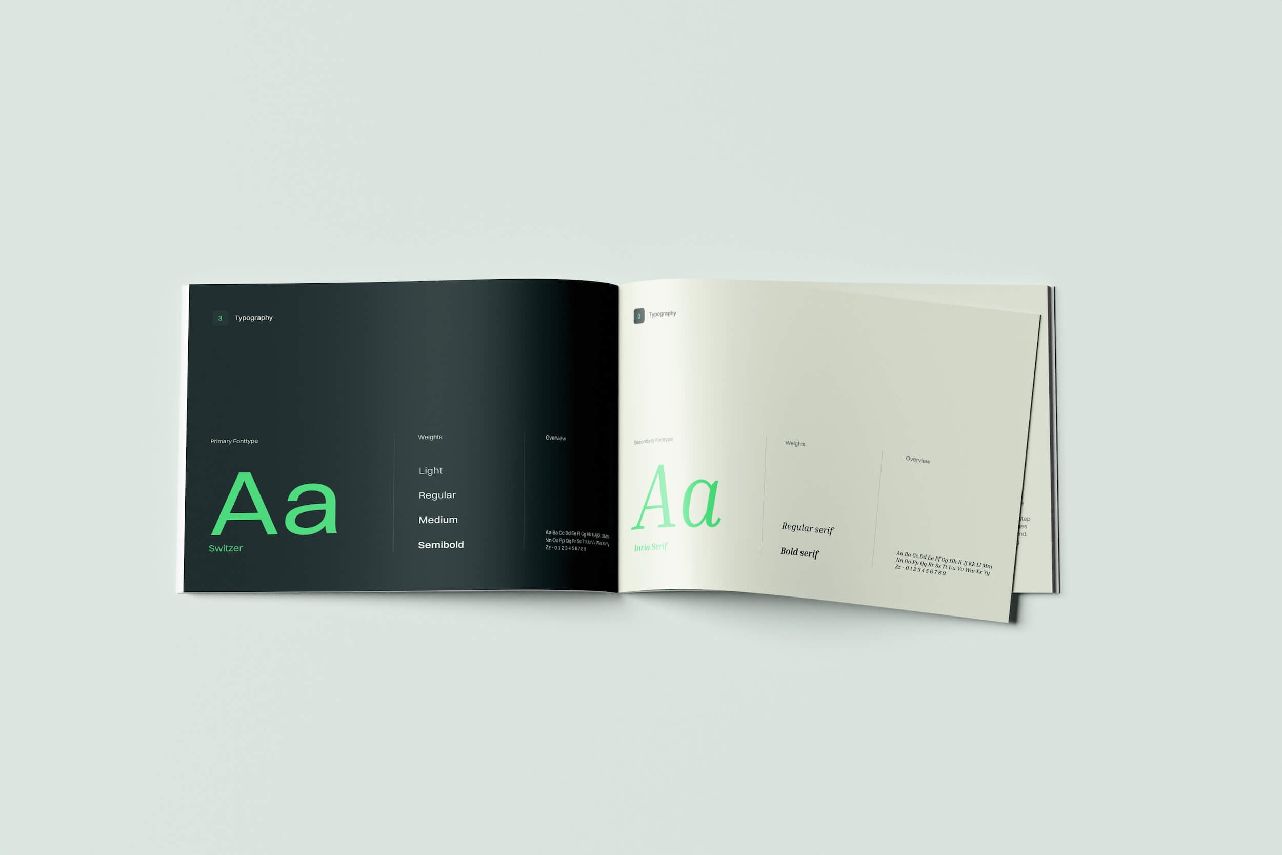 Brand guidelines and typography design for Icarus CS
