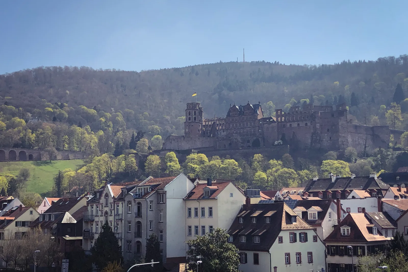 Anlageimmobilien in Heidelberg