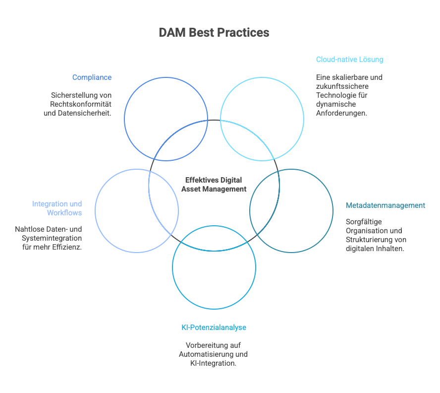 DAM Best Practices