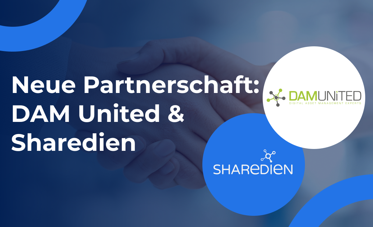New partnership: DAM United & Sharedien
