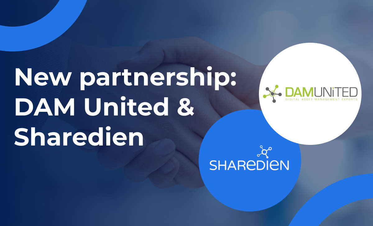 New partnership: DAM United & Sharedien