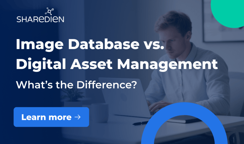 Image Database vs. Digital Asset Management System