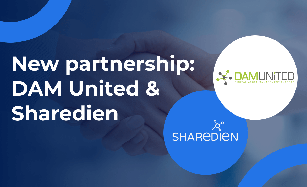 New partnership: DAM United & Sharedien