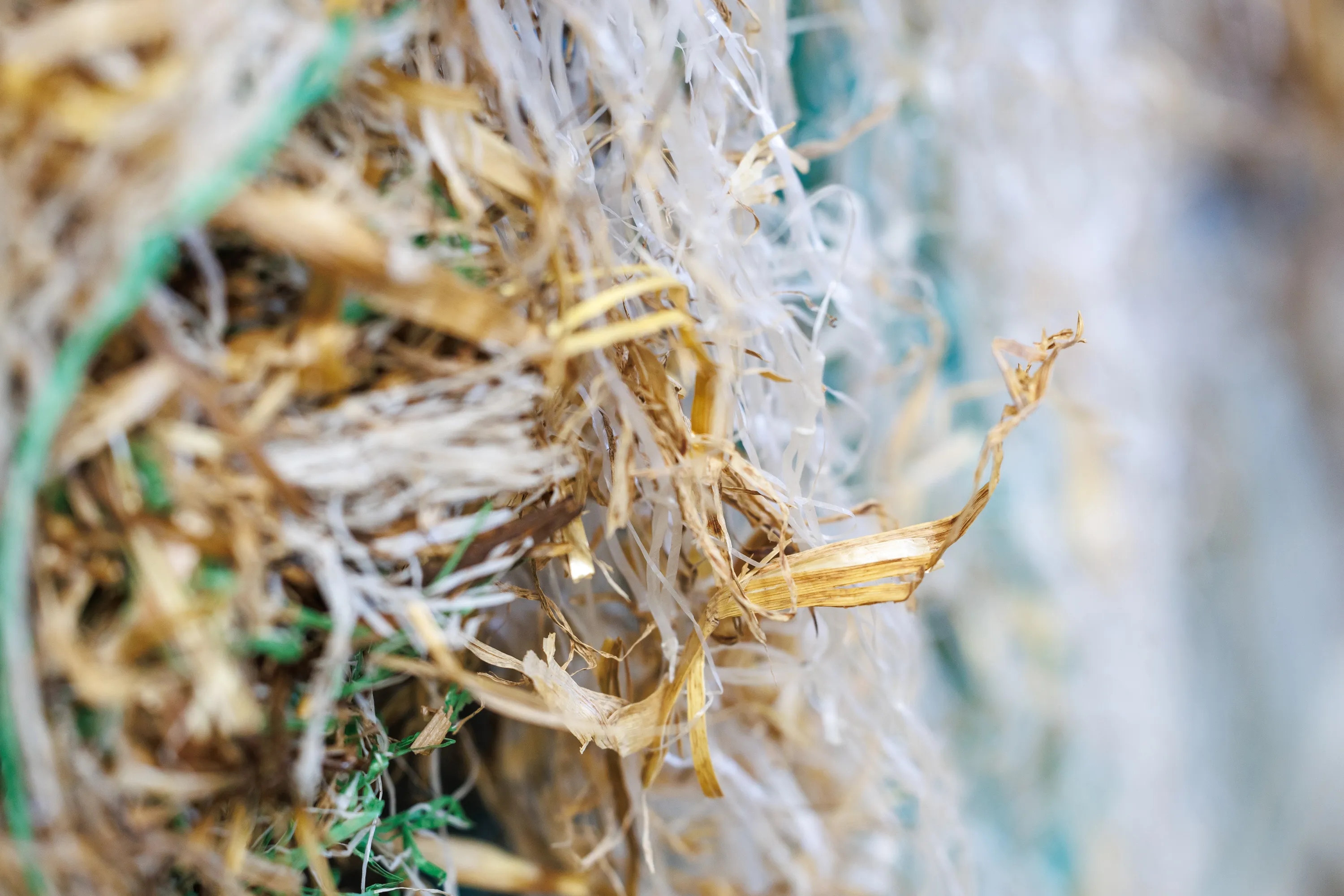 Fibres plastiques effilochées en gros plan montrant la texture de déchets à recycler