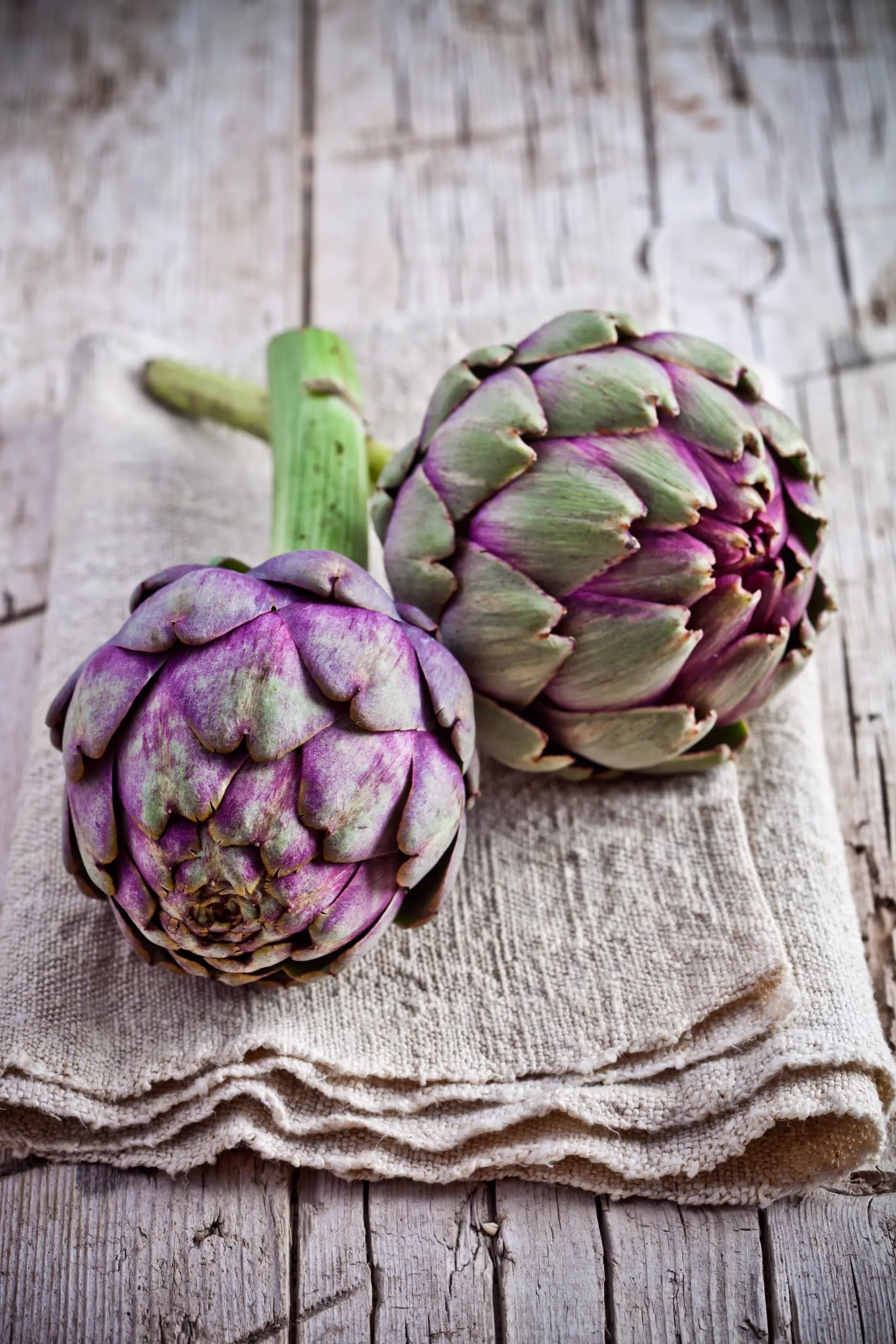 two artichokes on a wooden table