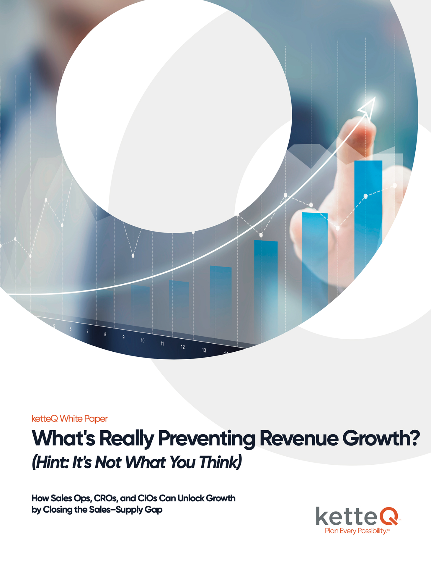 What's Really Preventing Revenue Growth?