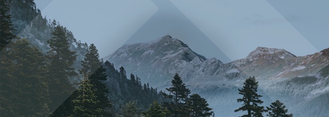 Q&A with Stephanie Larson: Scaling Supply Chain Maturity in a Highly Seasonal Business