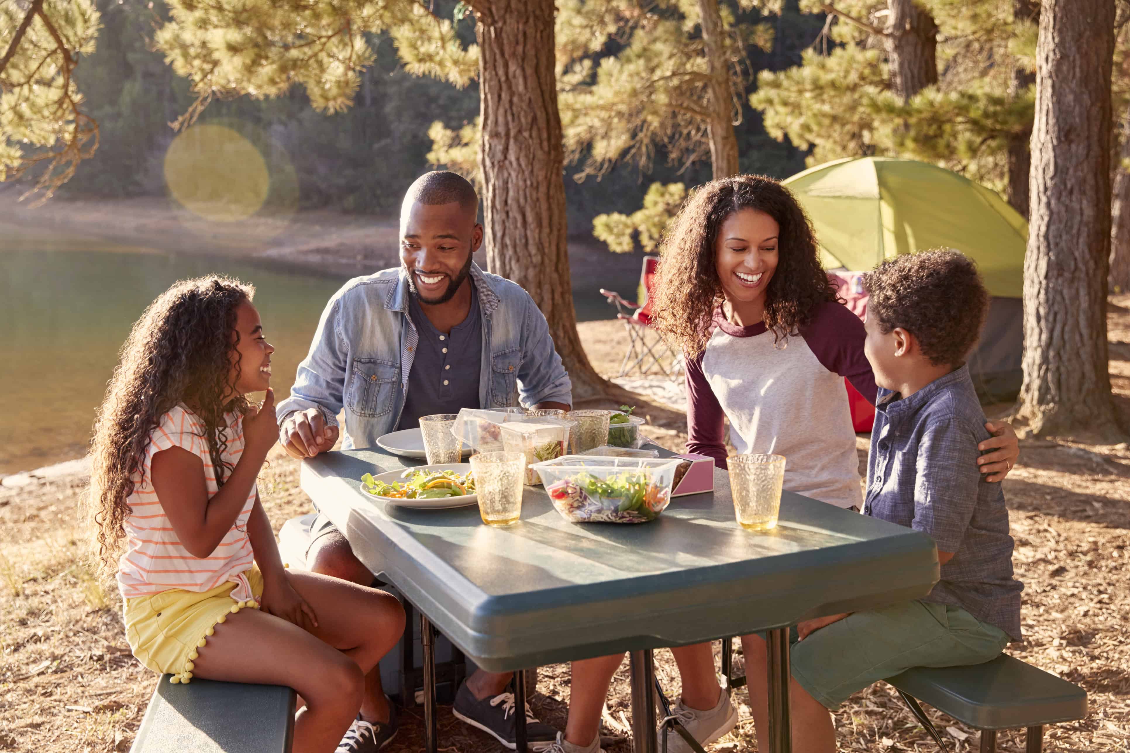 family having a picnic