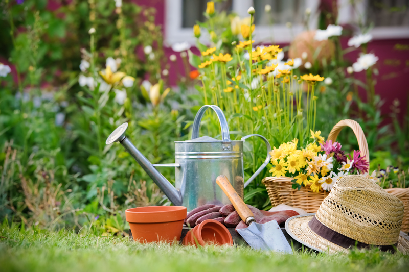 garden with gardening tools 