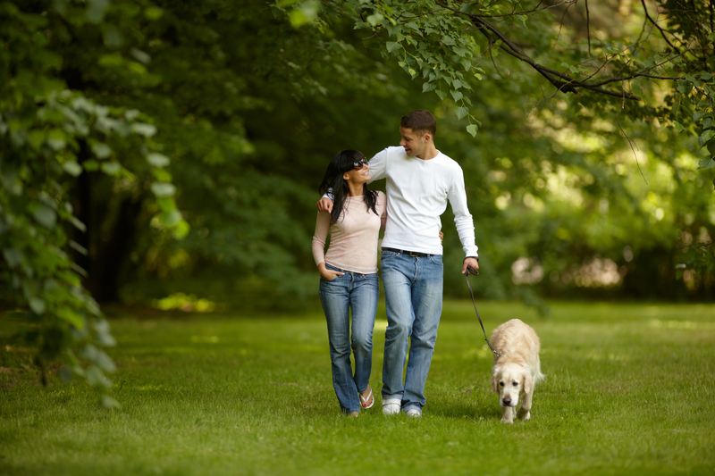 Attractive young couple spending time together outdoors walking with dog looking at each other faces eyes.