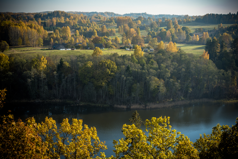 Green forest next to a river.