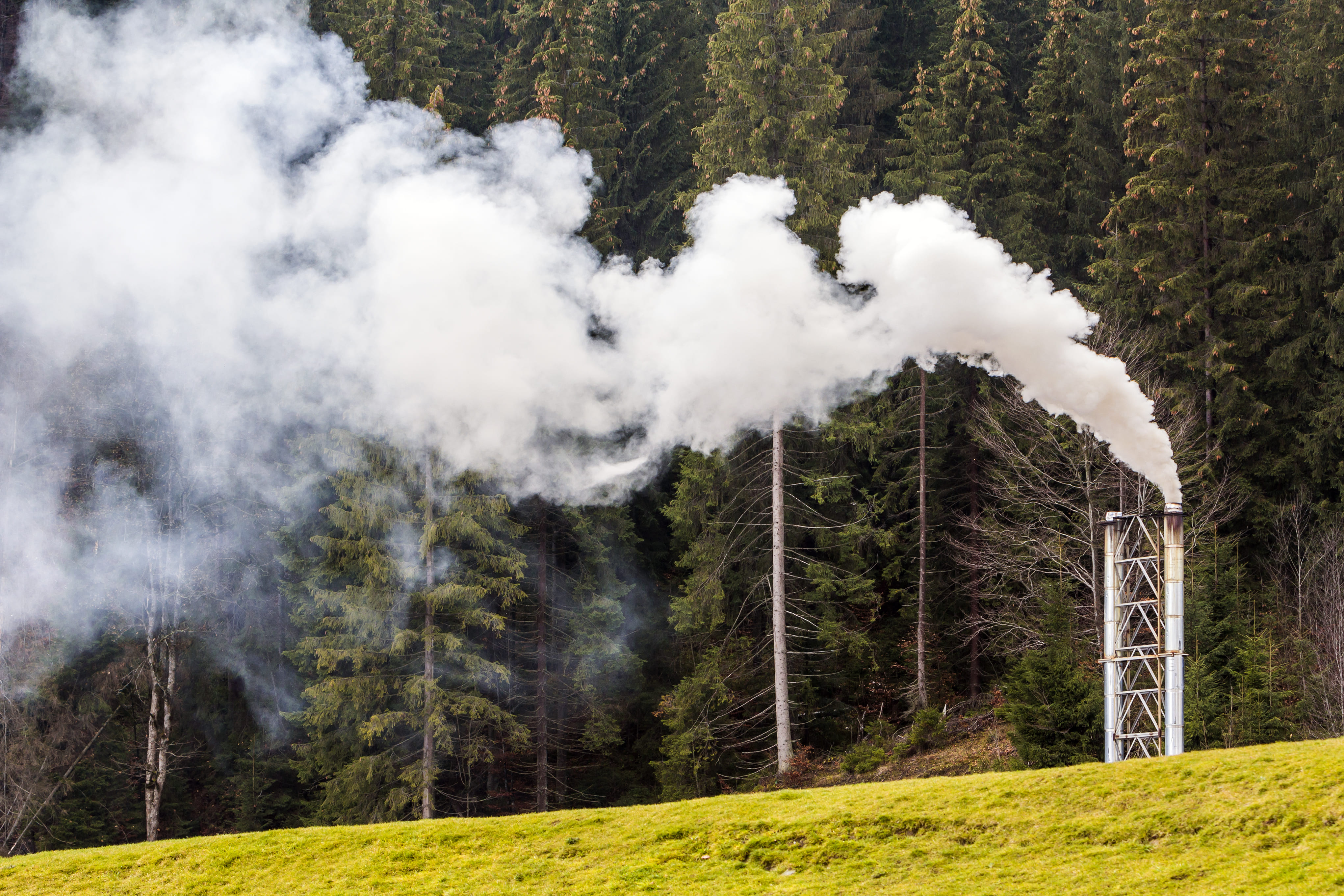 Singular industrial chimney surrounded by a forest and green fields.