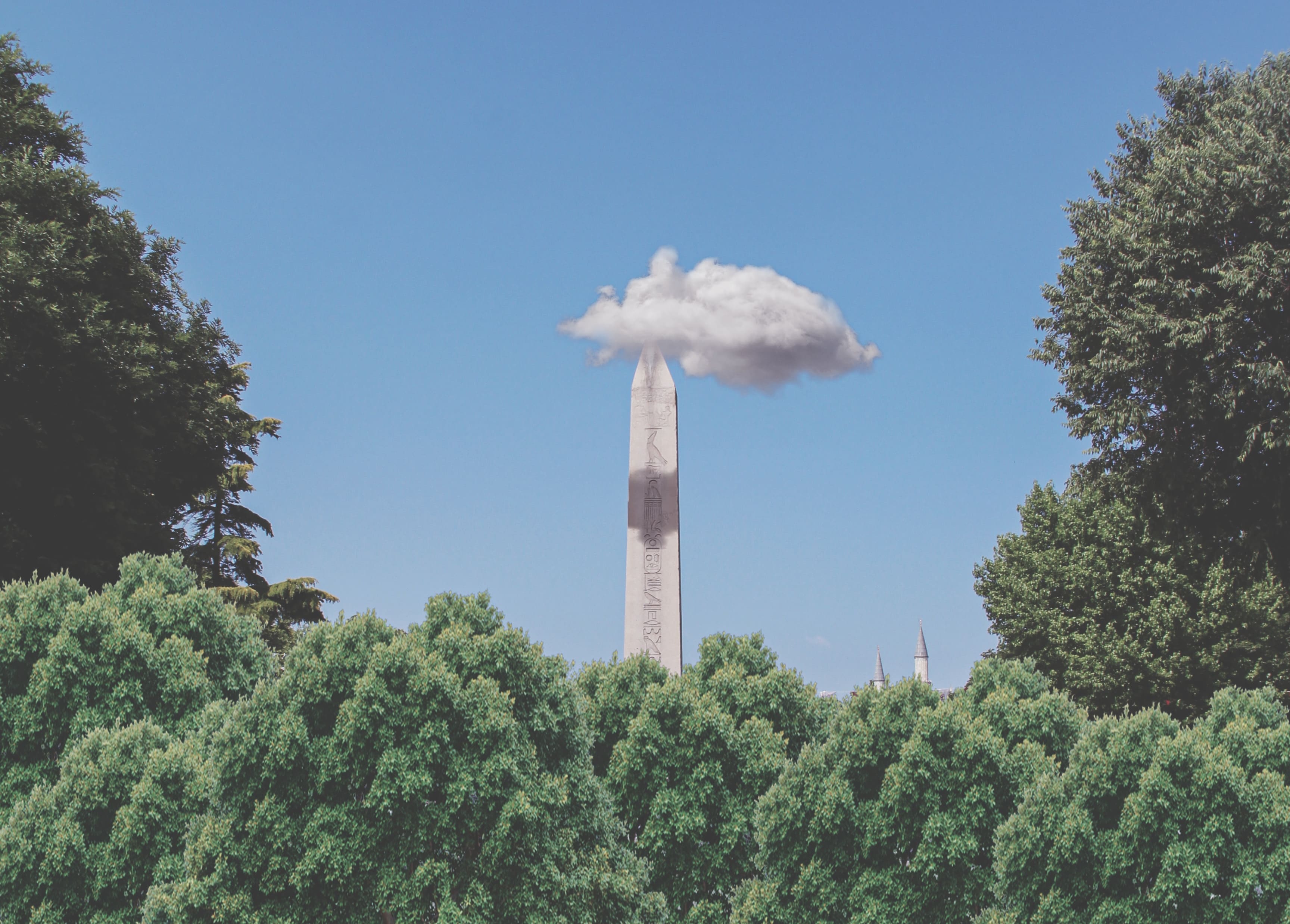 Individual pipe emitting smoke seen over a forest.