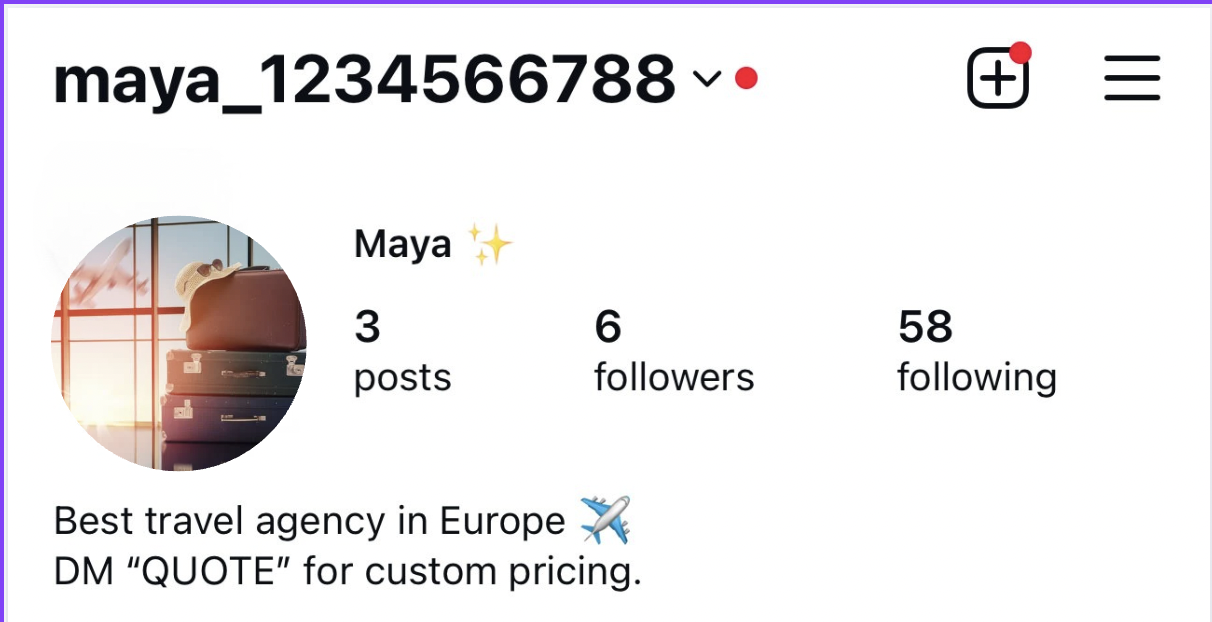 instagram bio travel agency