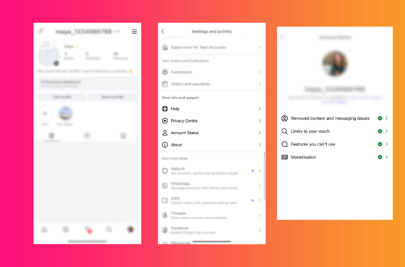 how to check instagram account health via account status