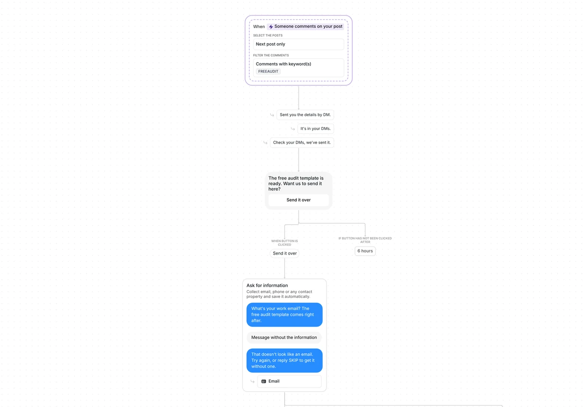 Free audit lead magnet for Instagram