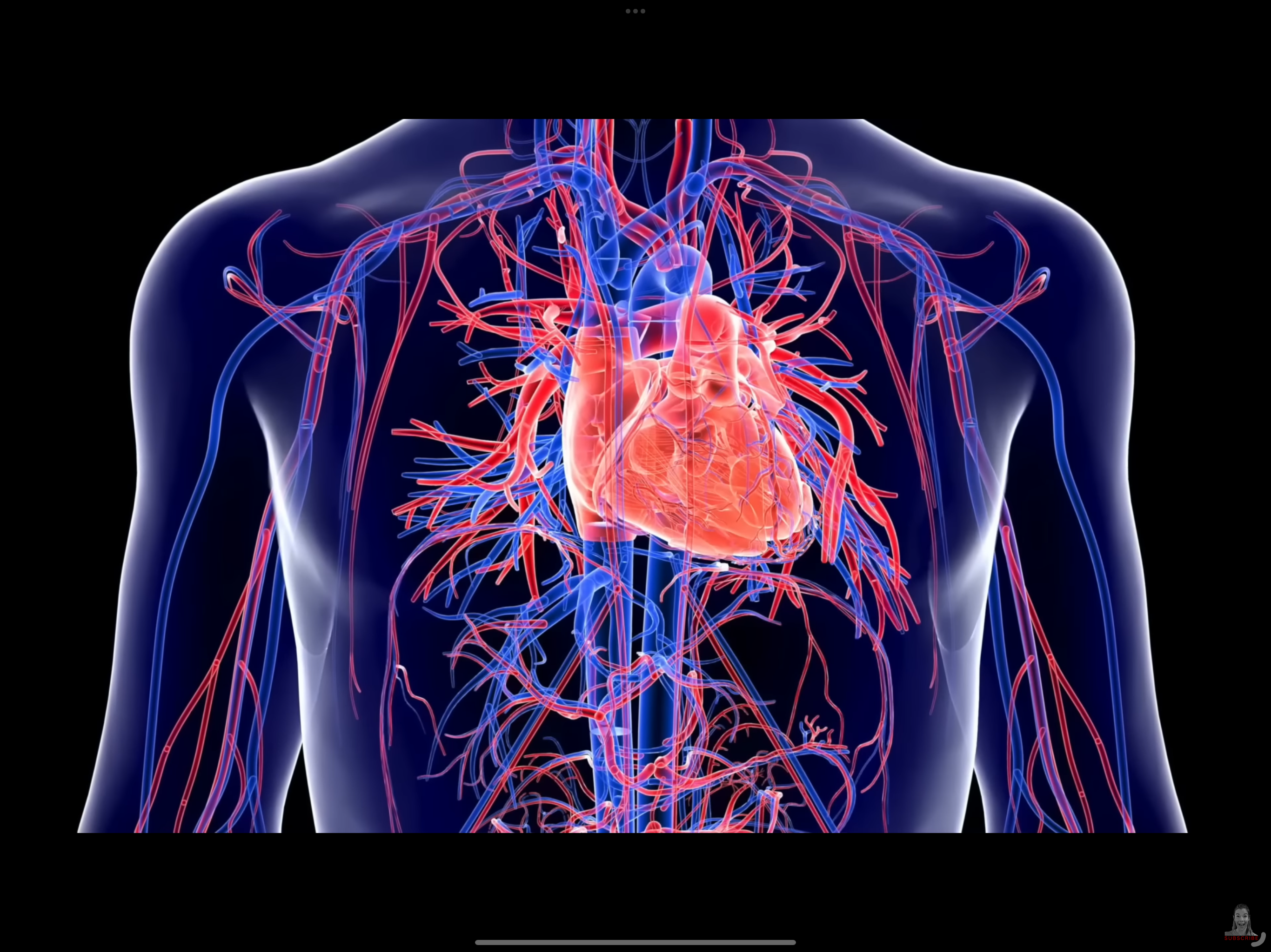 Huberman: How far-infrared saunas improve recirculation
