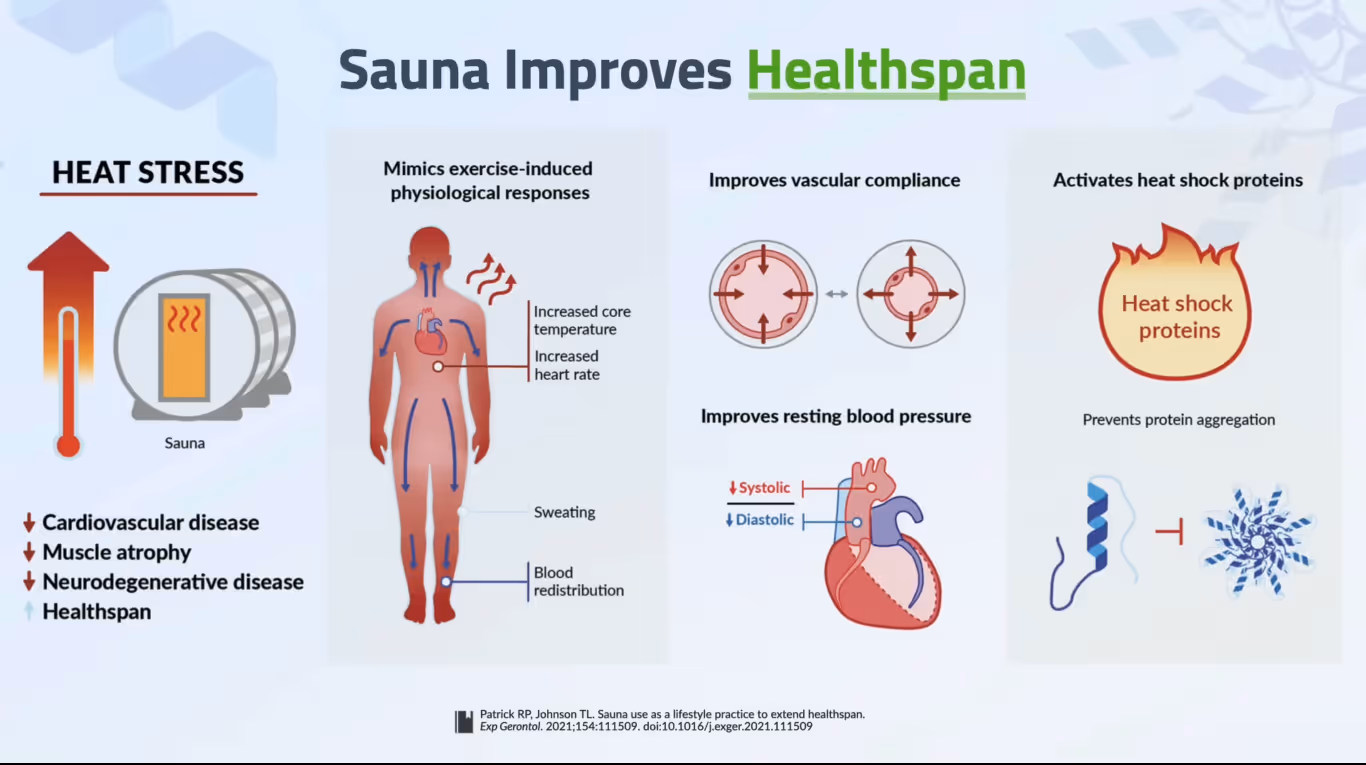 Dr. Rhonda Patrick: Sauna Improves Health Span