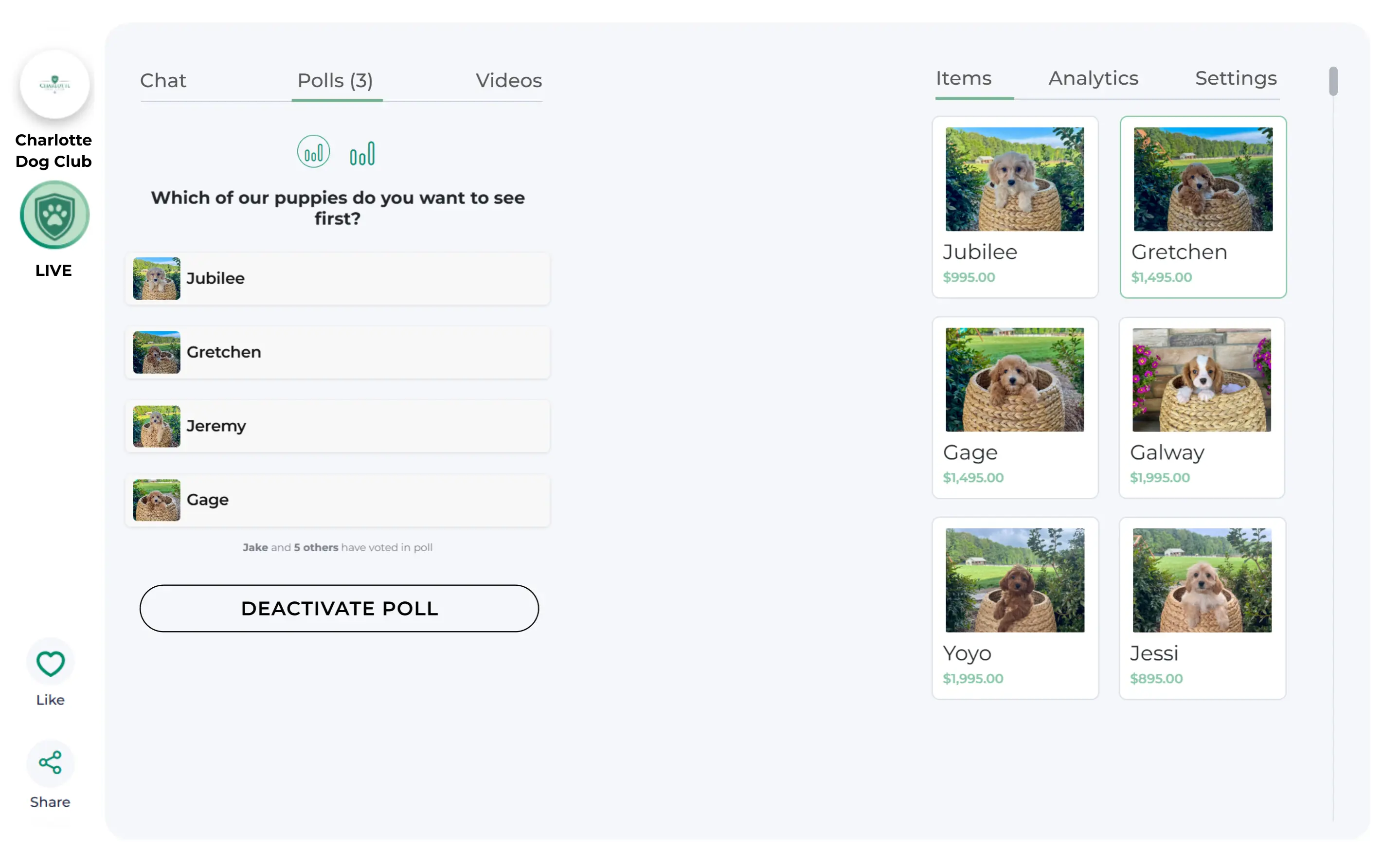 Charlotte Dog Clubs Fit First Adoptions