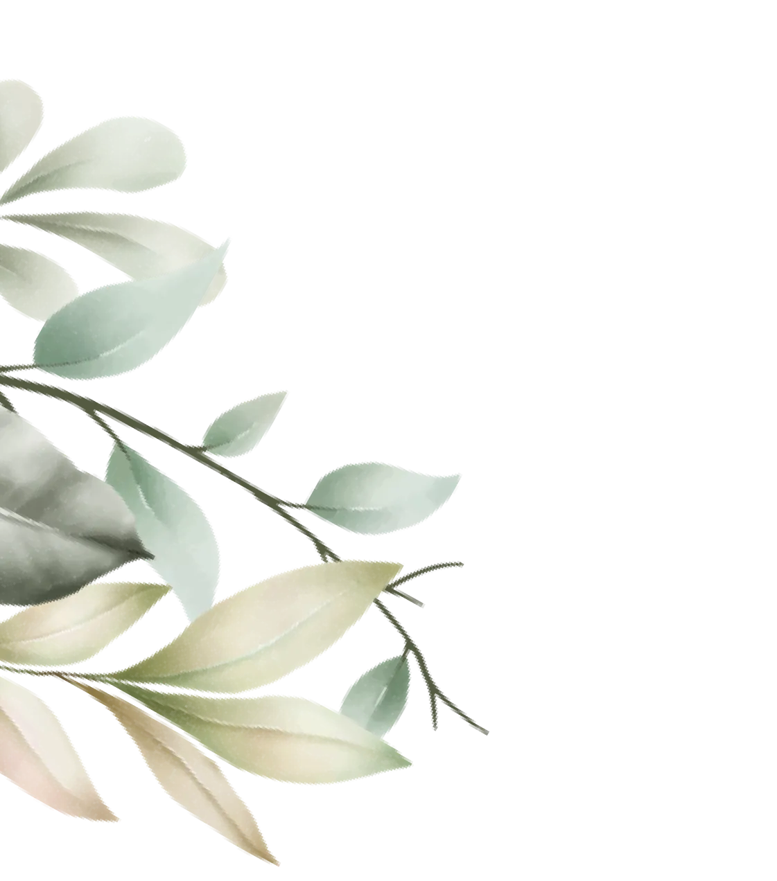 flower illustration