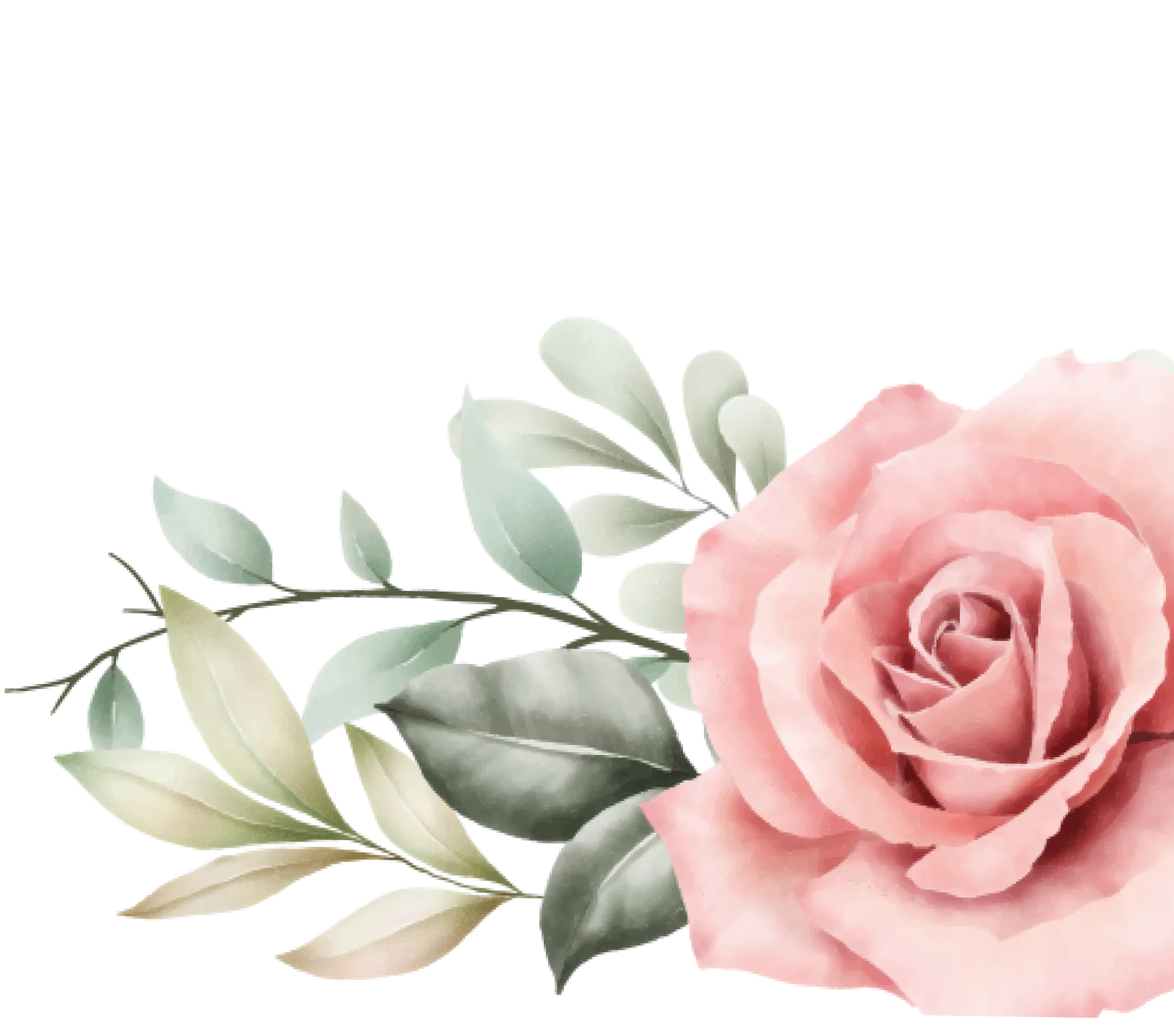 Decorative flower illustration