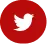 Twitter Icon