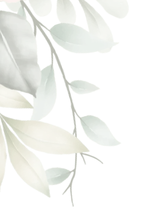 pricing-hero-left-flower-6751806a0f822