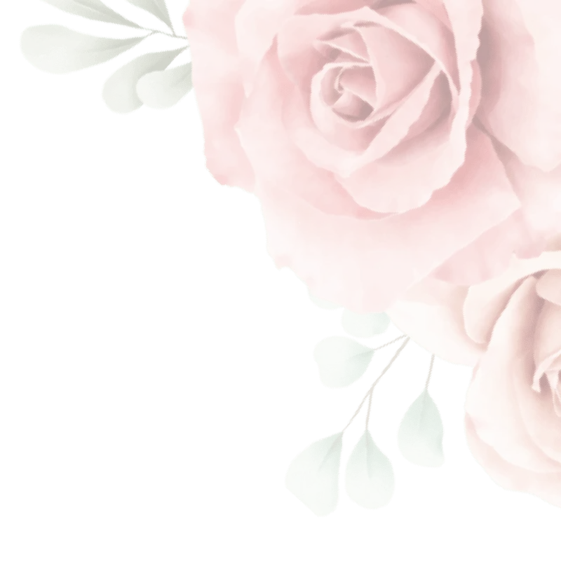 pricing-hero-right-flower-6751800b7ab1c