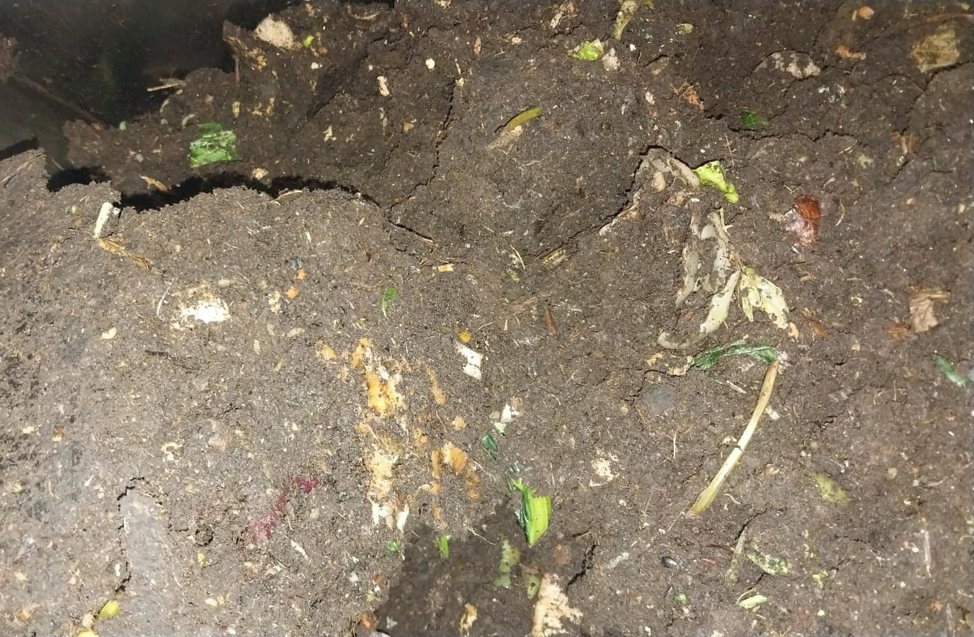 A close-up of mixed food waste after processing in food waste composter  