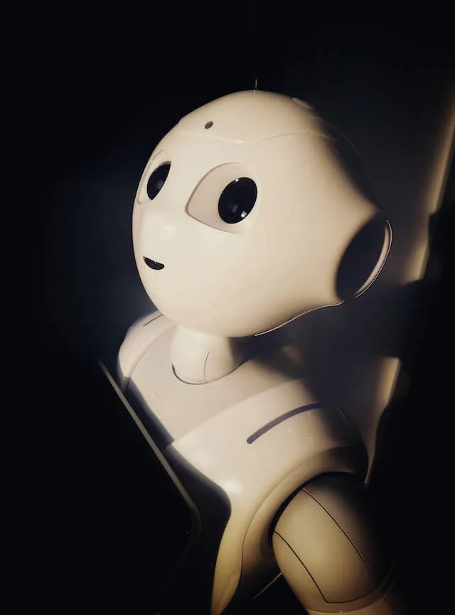 Image Robot