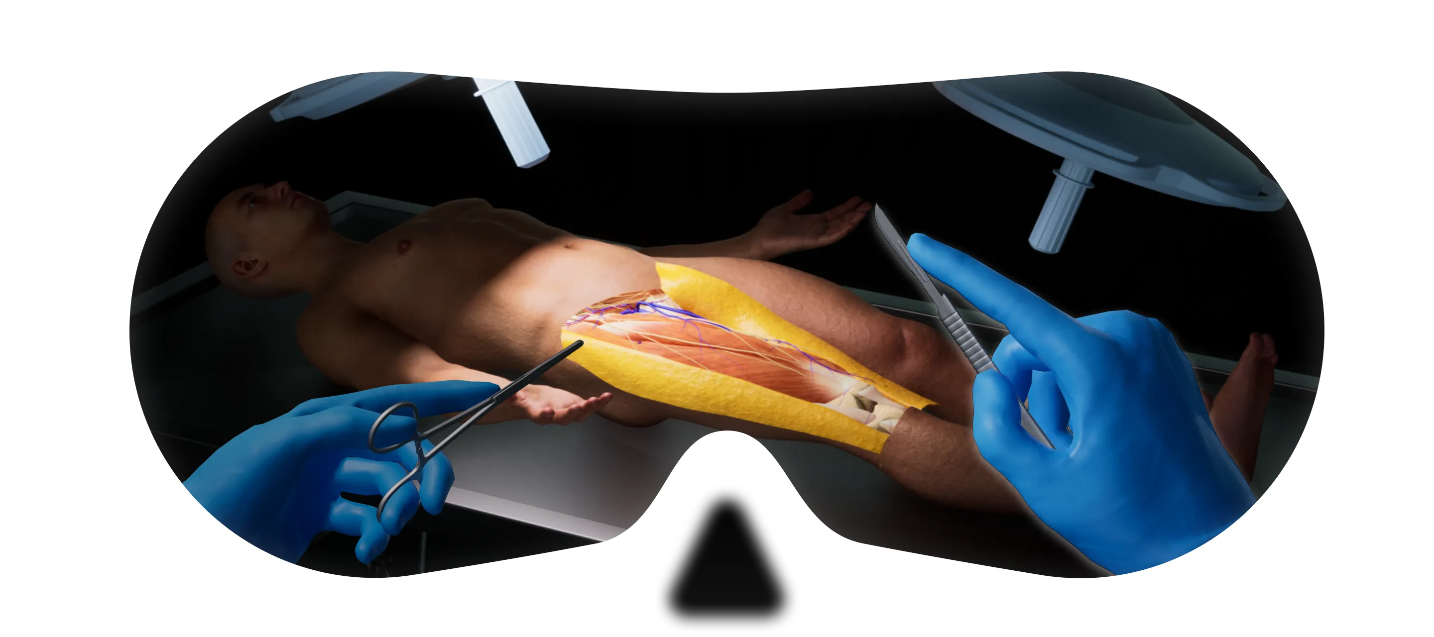 Dissection Simulation
