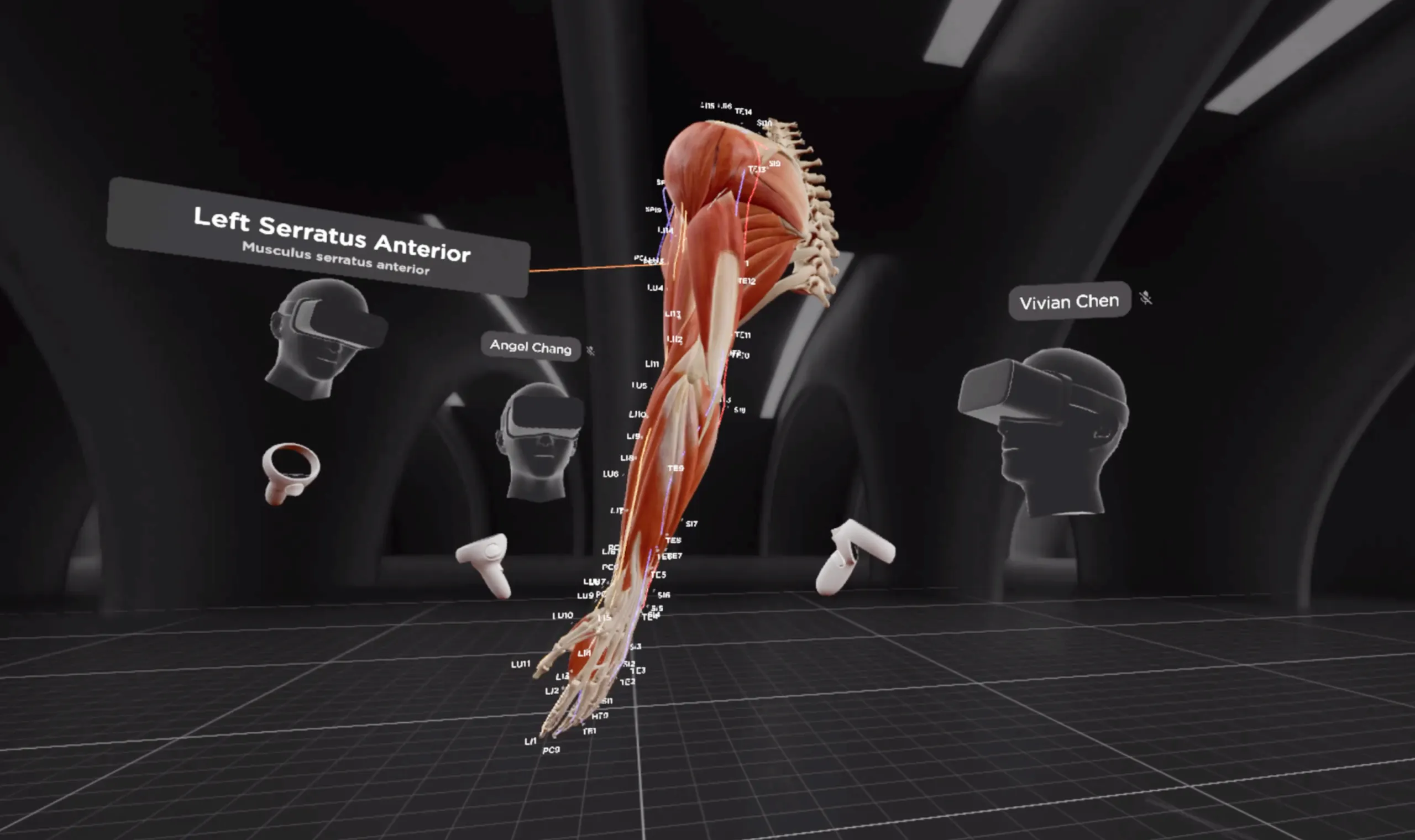 VR online Acupuncture Session