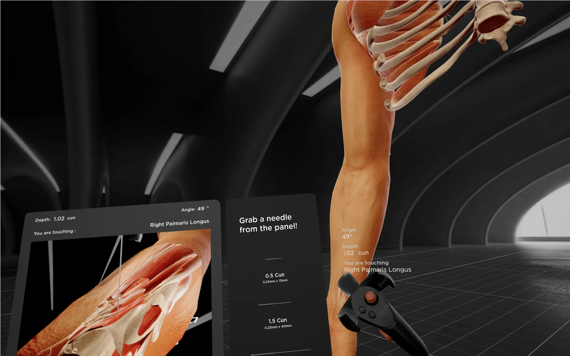 Acupuncture Simulation