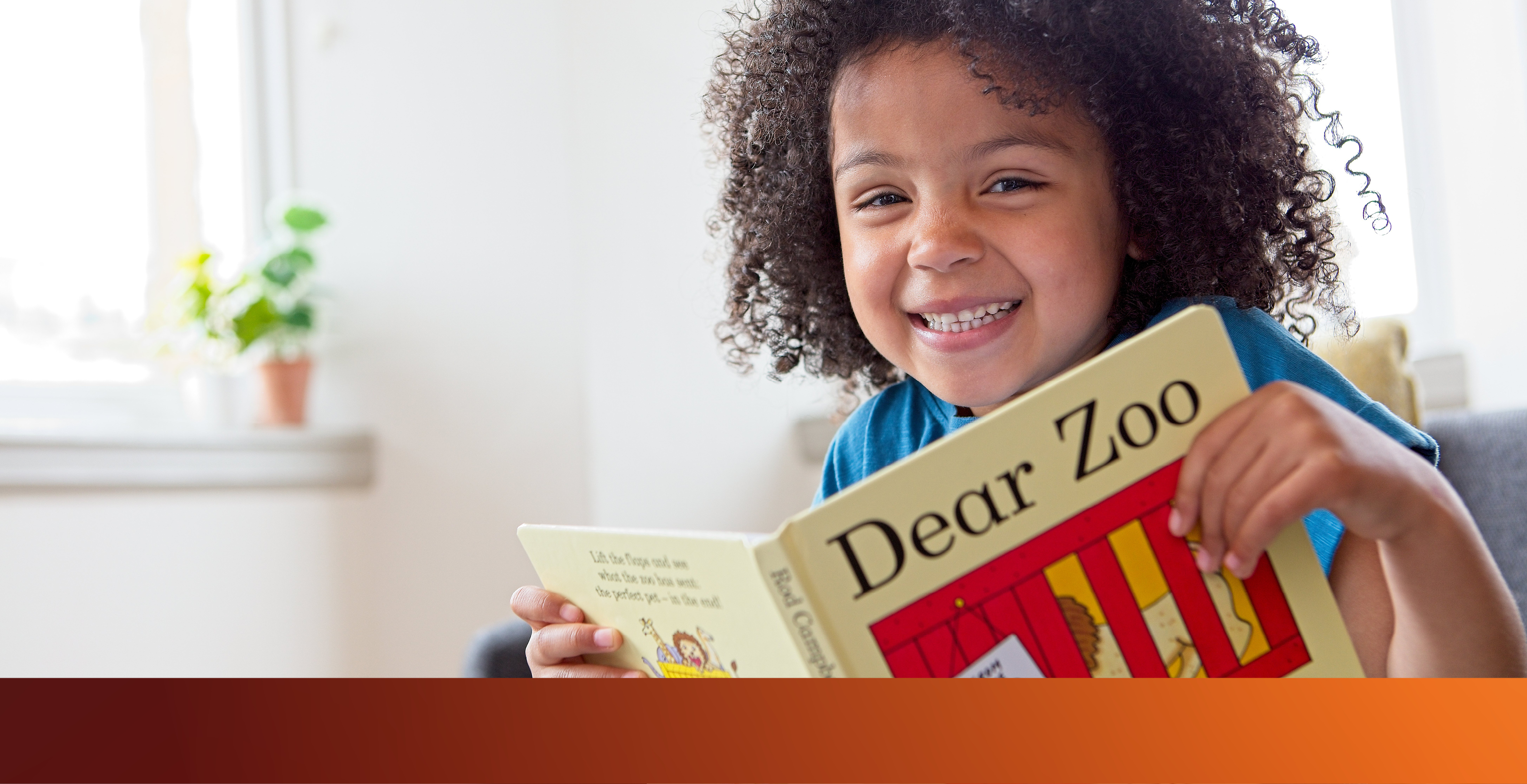 Chair's report image