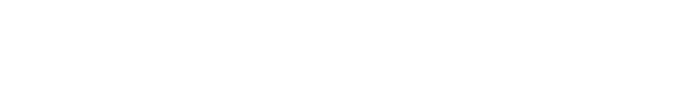 Treuhand Suisse Logo