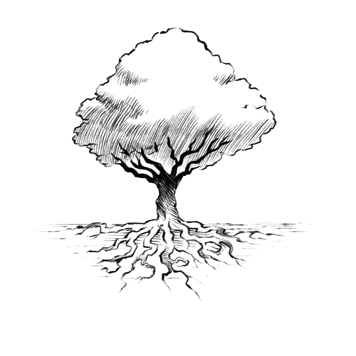 Mother & the First Forest