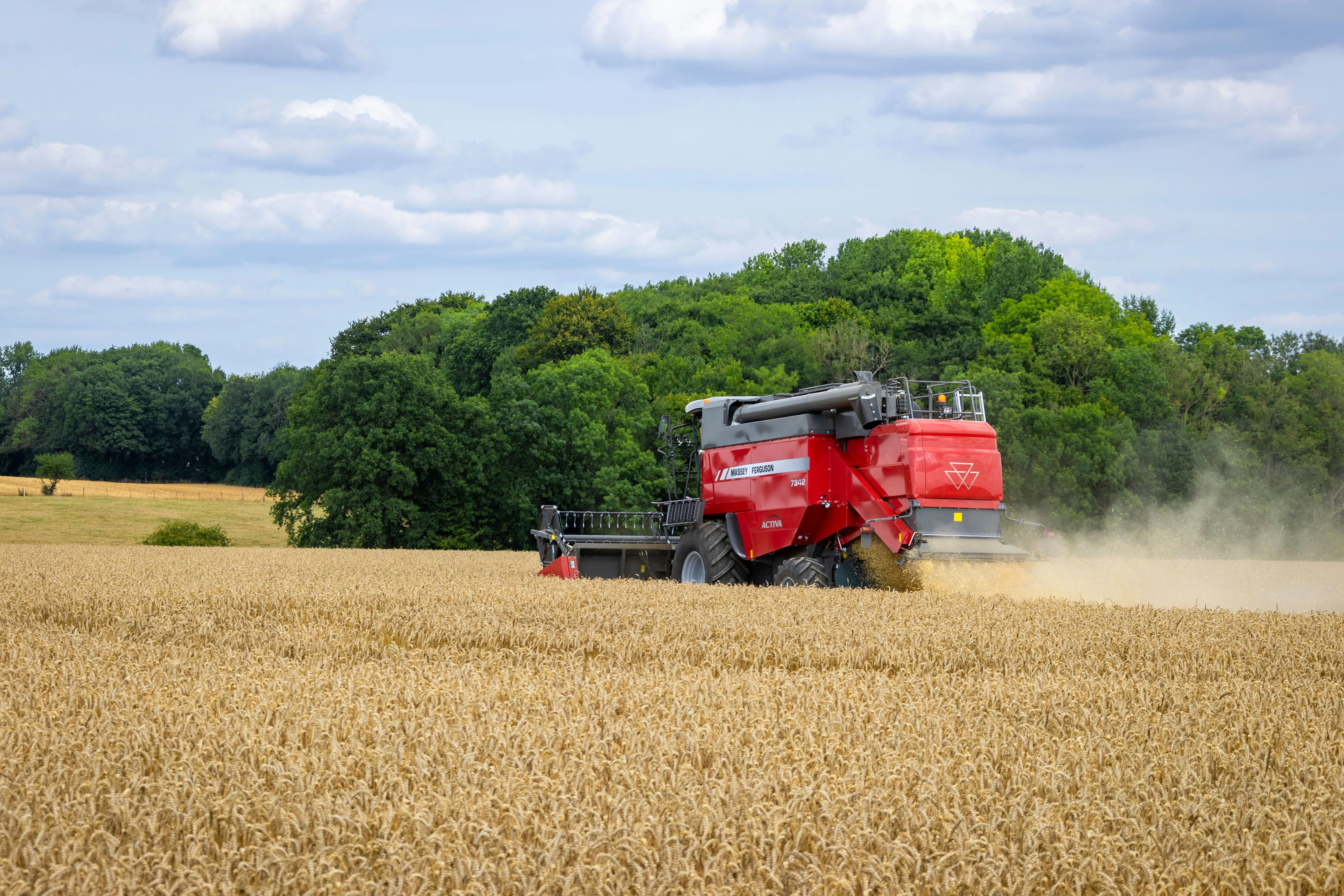 Kombajn Massey Ferguson Activa při sklizni